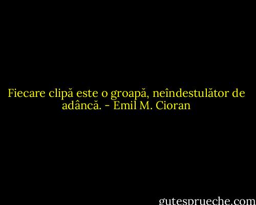 Fiecare clipă este o groapă, neîndestulător de adâncă. - Emil M. Cioran
