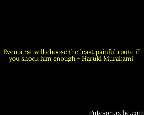 Even a rat will choose the least painful route if you shock him enough - Haruki Murakami