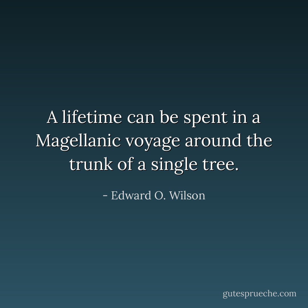 A lifetime can be spent in a Magellanic voyage around the trunk of a single tree. - Edward O. Wilson