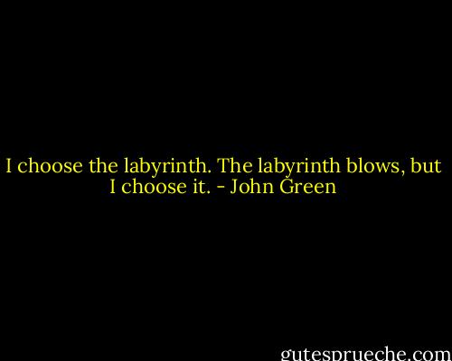 I choose the labyrinth. The labyrinth blows, but I choose it. - John Green