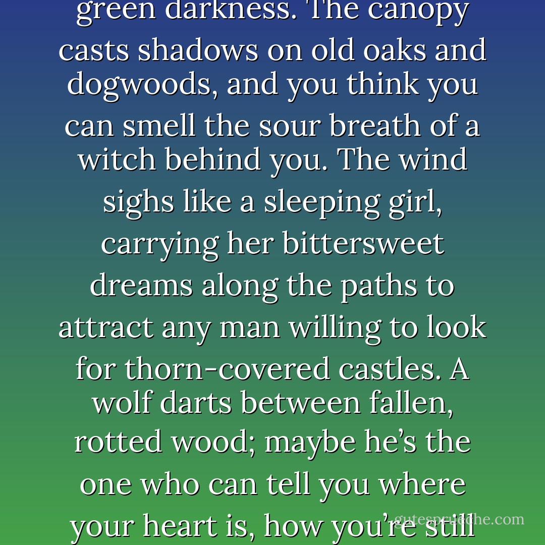 A trail made of pine needles and thistles leads you into the green darkness. The canopy casts shadows on old oaks and dogwoods, and you think you can smell the sour breath of a witch behind you. The wind sighs like a sleeping girl, carrying her bittersweet dreams along the paths to attract any man willing to look for thorn-covered castles. A wolf darts between fallen, rotted wood; maybe he’s the one who can tell you where your heart is, how you’re still breathing. - Kimberly Karalius
