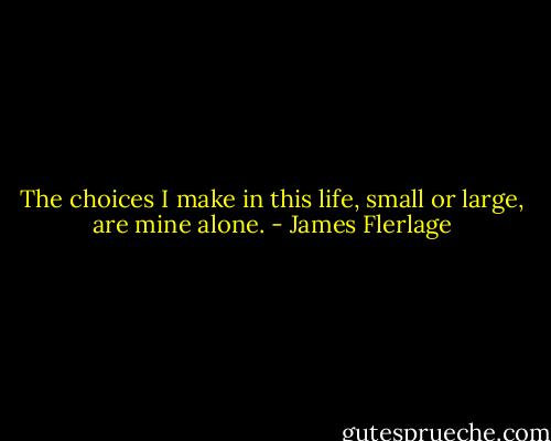 The choices I make in this life, small or large, are mine alone. - James Flerlage