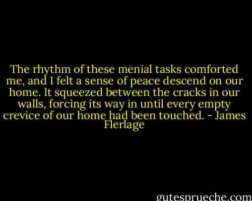 The rhythm of these menial tasks comforted me, and I felt a sense of peace descend on our home. It squeezed between the cracks in our walls, forcing its way in until every empty crevice of our home had been touched. - James Flerlage