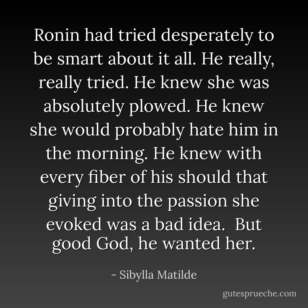 Ronin had tried desperately to be smart about it all. He really, really tried. He knew she was absolutely plowed. He knew she would probably hate him in the morning. He knew with every fiber of his should that giving into the passion she evoked was a bad idea.<br /><br />But <i>good God</i>, he wanted her. - Sibylla Matilde