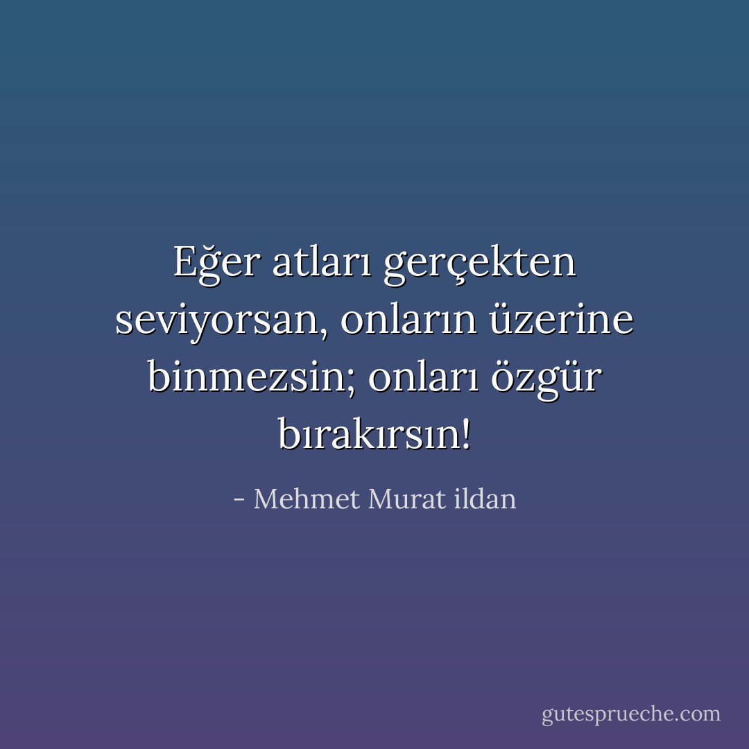 Eğer atları gerçekten seviyorsan, onların üzerine binmezsin; onları özgür bırakırsın! - Mehmet Murat ildan