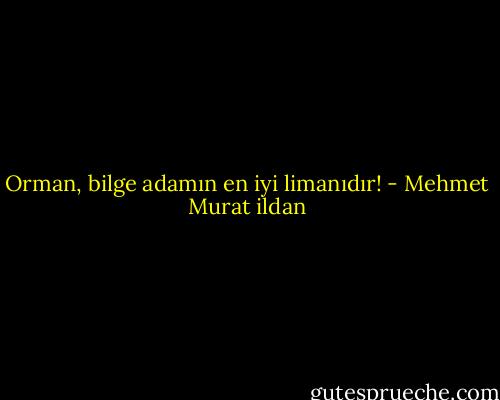 Orman, bilge adamın en iyi limanıdır! - Mehmet Murat ildan