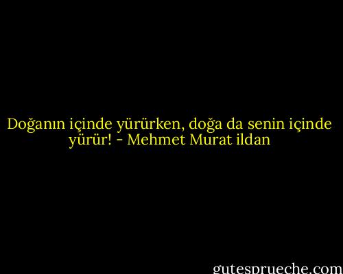 Doğanın içinde yürürken, doğa da senin içinde yürür! - Mehmet Murat ildan