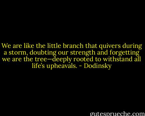 We are like the little branch that quivers during a storm, doubting our strength and forgetting we are the tree—deeply rooted to withstand all life’s upheavals. - Dodinsky