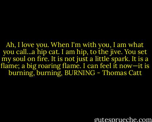 Ah, I love you. When I'm with you, I am what you call...a hip cat. I am hip, to the jive. You set my soul on fire. It is not just a little spark. It is a flame; a big roaring flame. I can feel it now—it is burning, burning, BURNING - Thomas Catt