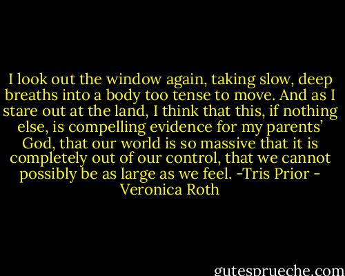 I look out the window again, taking slow, deep breaths into a body too tense to move. And as I stare out at the land, I think that this, if nothing else, is compelling evidence for my parents’ God, that our world is so massive that it is completely out of our control, that we cannot possibly be as large as we feel. -Tris Prior - Veronica Roth