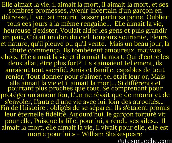 Elle aimait la vie, il aimait la mort,<br />Il aimait la mort, et ses sombres promesses,<br />Avenir incertain d'un garçon en détresse,<br />Il voulait mourir, laisser partir sa peine,<br />Oublier tous ces jours à la même rengaine...<br /><br />Elle aimait la vie, heureuse d'exister,<br />Voulait aider les gens et puis grandir en paix,<br />C'était un don du ciel, toujours souriante,<br />Fleurs et nature, qu'il pleuve ou qu'il vente.<br /><br />Mais un beau jour, la chute commença,<br />Ils tombèrent amoureux, mauvais choix,<br />Elle aimait la vie et il aimait la mort,<br />Qui d'entre les deux allait être plus fort?<br /><br />Ils s'aimaient tellement, ils auraient tout sacrifié,<br />Amis et famille, capables de tout renier,<br />Tout donner pour s'aimer, tel était leur or,<br />Mais elle aimait la vie et il aimait la mort...<br />Si différents et pourtant plus proches que tout,<br />Se comprenant pour protéger un amour fou,<br />L'un ne rêvait que de mourir et de s'envoler,<br />L'autre d'une vie avec lui, loin des atrocités...<br /><br />Fin de l'histoire : obligés de se séparer,<br />Ils s'étaient promis leur éternelle fidélité.<br />Aujourd'hui, le garçon torturé vit pour elle,<br />Puisque la fille, pour lui, a rendu ses ailes...<br /><br />Il aimait la mort, elle aimait la vie,<br />Il vivait pour elle, elle est morte pour lui » - William Shakespeare
