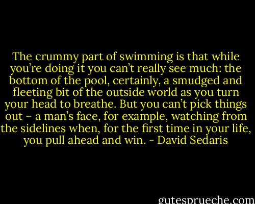 The crummy part of swimming is that while you’re doing it you can’t really see much: the bottom of the pool, certainly, a smudged and fleeting bit of the outside world as you turn your head to breathe. But you can’t pick things out – a man’s face, for example, watching from the sidelines when, for the first time in your life, you pull ahead and win. - David Sedaris