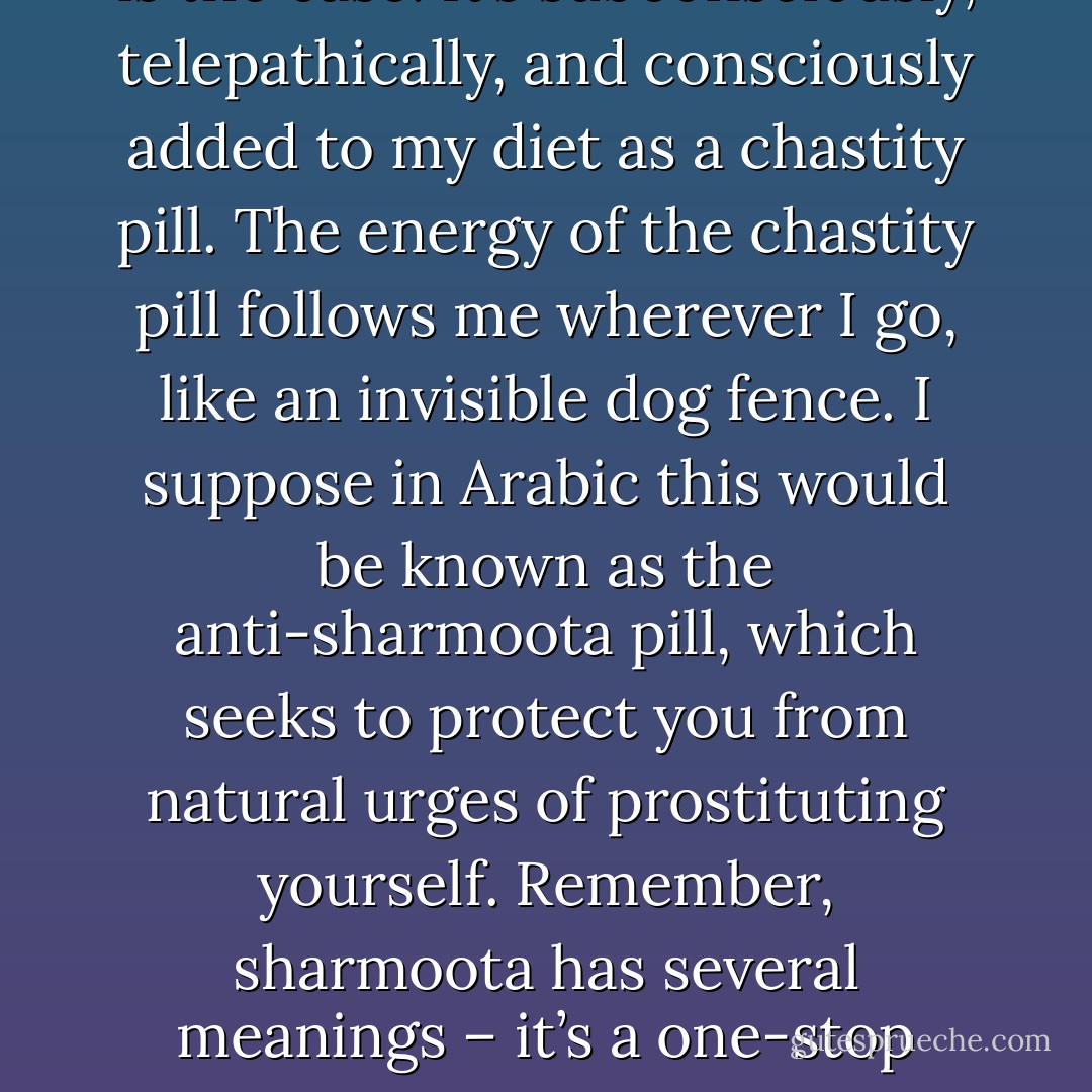 At a certain age, I come to understand all roads led to my vagina. I have no idea why this is the case. It’s subconsciously, telepathically, and consciously added to my diet as a chastity pill. The energy of the chastity pill follows me wherever I go, like an invisible dog fence. I suppose in Arabic this would be known as the anti-sharmoota pill, which seeks to protect you from natural urges of prostituting yourself. Remember, sharmoota has several meanings – it’s a one-stop shop term that aims to degrade a female or male, but mainly a woman. - Sadiqua Hamdan