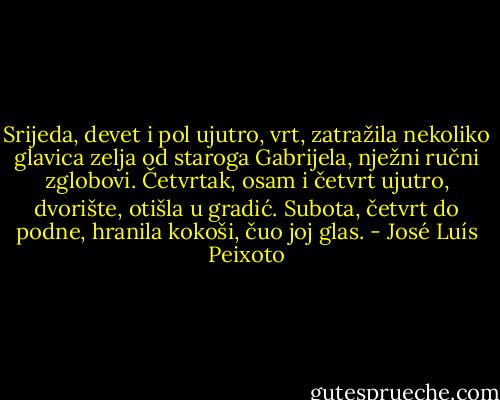 Srijeda, devet i pol ujutro, vrt, zatražila nekoliko glavica zelja od staroga Gabrijela, nježni ručni zglobovi. Četvrtak, osam i četvrt ujutro, dvorište, otišla u gradić. Subota, četvrt do podne, hranila kokoši, čuo joj glas. - José Luís Peixoto