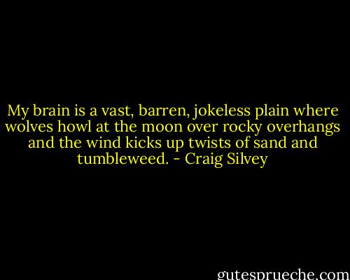 My brain is a vast, barren, jokeless plain where wolves howl at the moon over rocky overhangs and the wind kicks up twists of sand and tumbleweed. - Craig Silvey