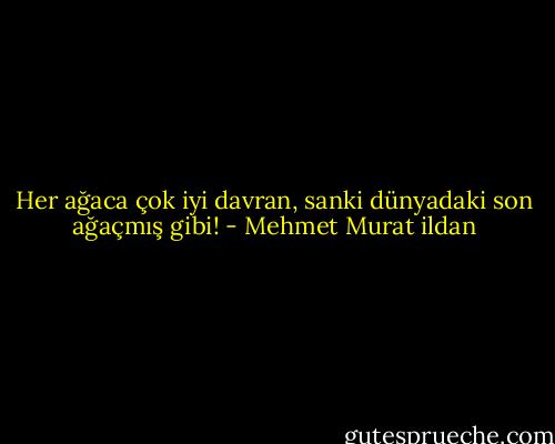 Her ağaca çok iyi davran, sanki dünyadaki son ağaçmış gibi! - Mehmet Murat ildan