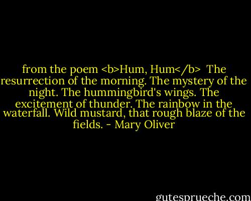 from the poem <b>Hum, Hum</b><br /><br />The resurrection of the morning.<br />The mystery of the night.<br />The hummingbird's wings.<br />The excitement of thunder.<br />The rainbow in the waterfall.<br />Wild mustard, that rough blaze of the fields. - Mary Oliver