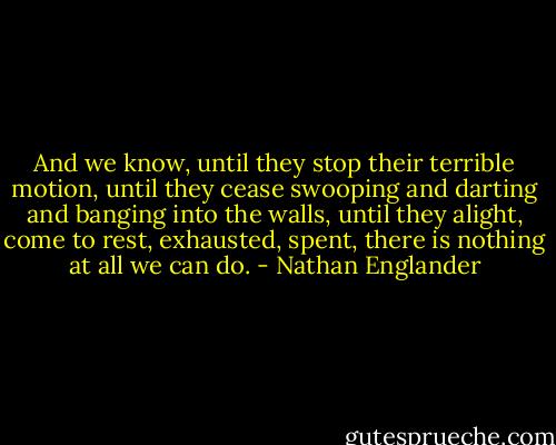 And we know, until they stop their terrible motion, until they cease swooping and darting and banging into the walls, until they alight, come to rest, exhausted, spent, there is nothing at all we can do. - Nathan Englander