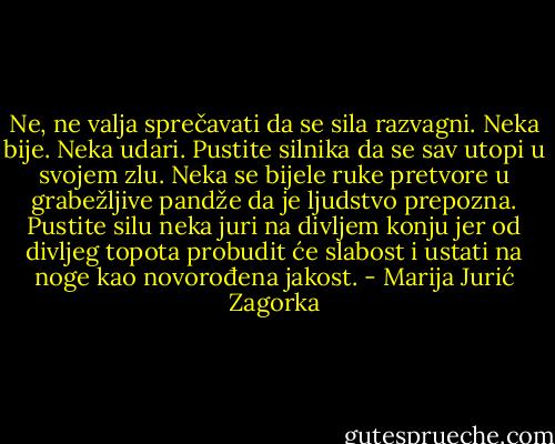 Ne, ne valja sprečavati da se sila razvagni. Neka bije. Neka udari. Pustite silnika da se sav utopi u svojem zlu. Neka se bijele ruke pretvore u grabežljive pandže da je ljudstvo prepozna. Pustite silu neka juri na divljem konju jer od divljeg topota probudit će slabost i ustati na noge kao novorođena jakost. - Marija Jurić Zagorka