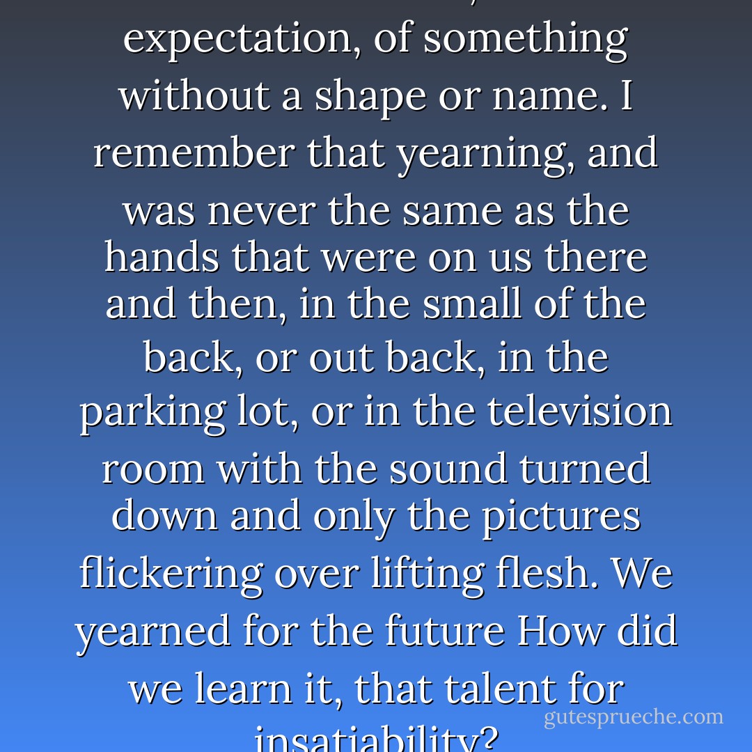 There was old sex in the room and loneliness, and expectation, of something without a shape or name. I remember that yearning, and was never the same as the hands that were on us there and then, in the small of the back, or out back, in the parking lot, or in the television room with the sound turned down and only the pictures flickering over lifting flesh. We yearned for the future How did we learn it, that talent for insatiability? - Margaret Atwood