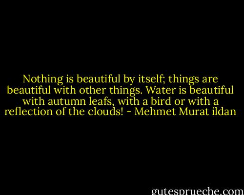 Nothing is beautiful by itself; things are beautiful with other things. Water is beautiful with autumn leafs, with a bird or with a reflection of the clouds! - Mehmet Murat ildan