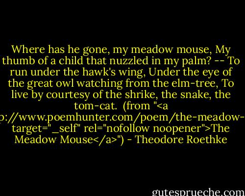 Where has he gone, my meadow mouse,<br />My thumb of a child that nuzzled in my palm? --<br />To run under the hawk's wing,<br />Under the eye of the great owl watching from the elm-tree,<br />To live by courtesy of the shrike, the snake, the tom-cat.<br /><br />(from "<a href="http://www.poemhunter.com/poem/the-meadow-mouse/" target="_self" rel="nofollow noopener">The Meadow Mouse</a>") - Theodore Roethke