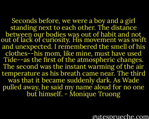 Seconds before, we were a boy and a girl standing next to each other. The distance between our bodies was out of habit and not out of lack of curiosity. His movement was swift and unexpected. I remembered the smell of his clothes--his mom, like mine, must have used Tide--as the first of the atmospheric changes. The second was the instant warming of the air temperature as his breath came near. The third was that it became suddenly dark. As Wade pulled away, he said my name aloud for no one but himself. - Monique Truong