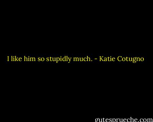 I like him so stupidly much. - Katie Cotugno