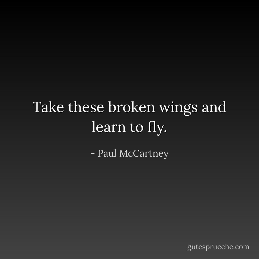Take these broken wings and learn to fly. - Paul McCartney