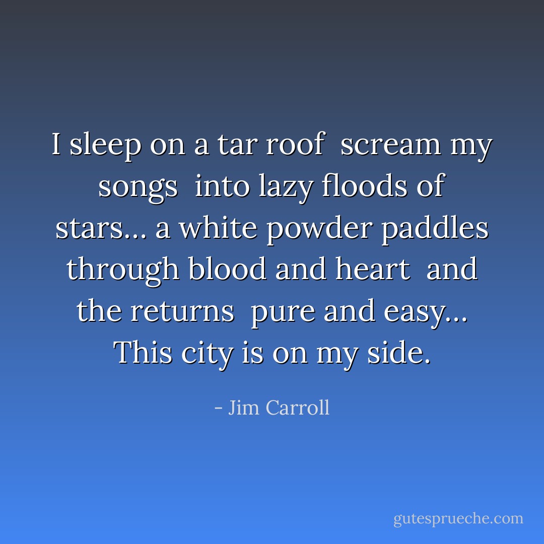 I sleep on a tar roof <br />scream my songs <br />into lazy floods of stars…<br />a white powder paddles through blood and heart <br />and the returns <br />pure and easy…<br />This city is on my side. - Jim Carroll