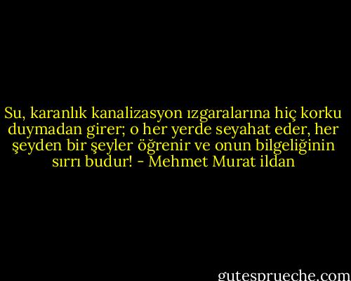 Su, karanlık kanalizasyon ızgaralarına hiç korku duymadan girer; o her yerde seyahat eder, her şeyden bir şeyler öğrenir ve onun bilgeliğinin sırrı budur! - Mehmet Murat ildan