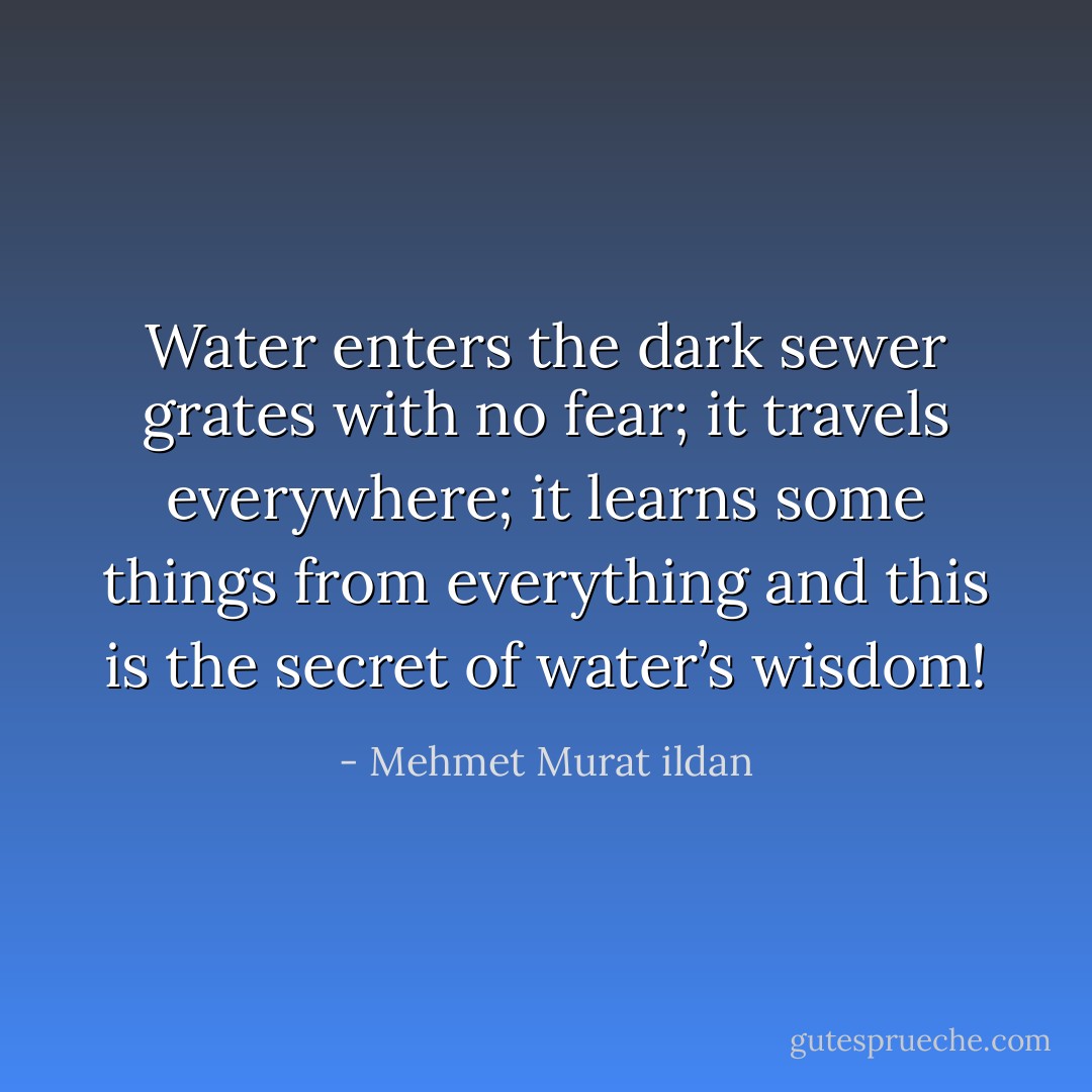Water enters the dark sewer grates with no fear; it travels everywhere; it learns some things from everything and this is the secret of water’s wisdom! - Mehmet Murat ildan