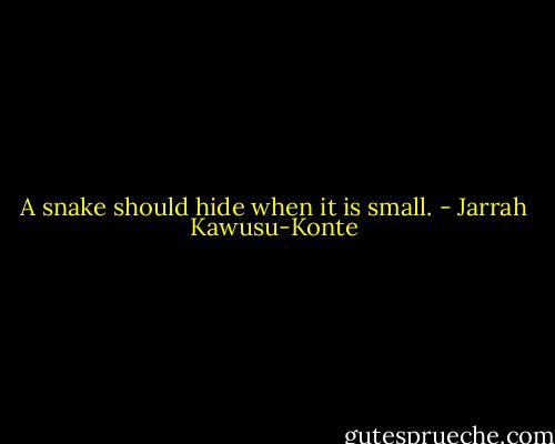 A snake should hide when it is small. - Jarrah Kawusu-Konte