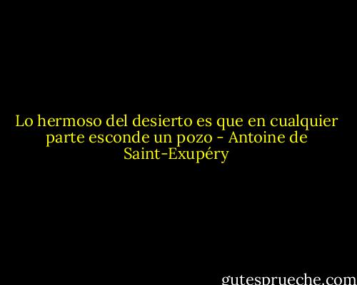 Lo hermoso del desierto es que en cualquier parte esconde un pozo - Antoine de Saint-Exupéry