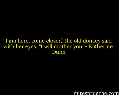 I am here, come closer,” the old donkey said with her eyes. “I will mother you. - Katherine  Dunn