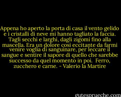 Appena ho aperto la porta di casa il vento gelido e i cristalli di neve mi hanno tagliato la faccia. Tagli secchi e larghi, dagli zigomi fino alla mascella. Era un dolore così eccitante da farmi venire voglia di sanguinare, per leccare il sangue e sentire il sapore di quello che sarebbe successo da quel momento in poi. <br />Ferro, zucchero e carne. - Valerio la Martire