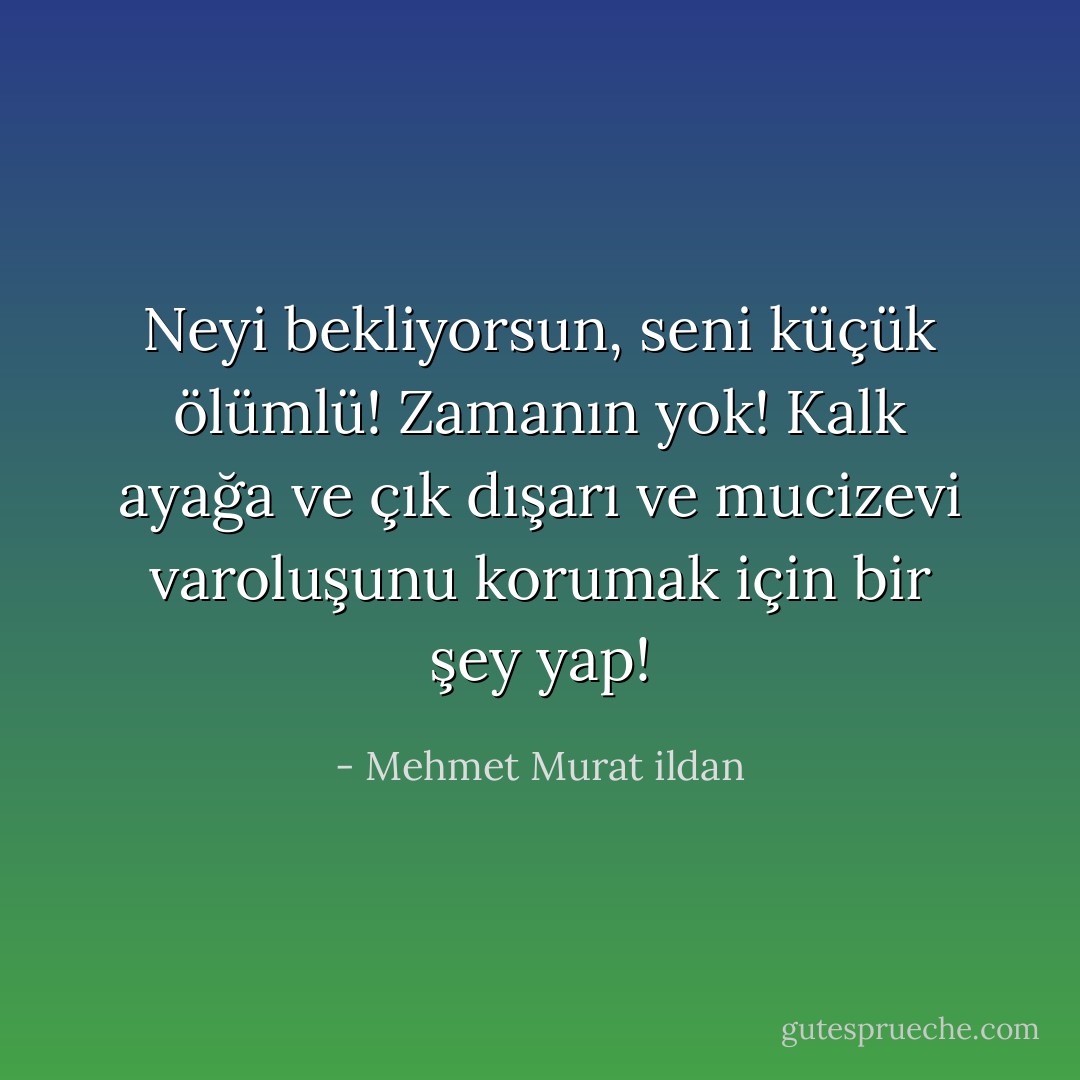 Neyi bekliyorsun, seni küçük ölümlü! Zamanın yok! Kalk ayağa ve çık dışarı ve mucizevi varoluşunu korumak için bir şey yap! - Mehmet Murat ildan