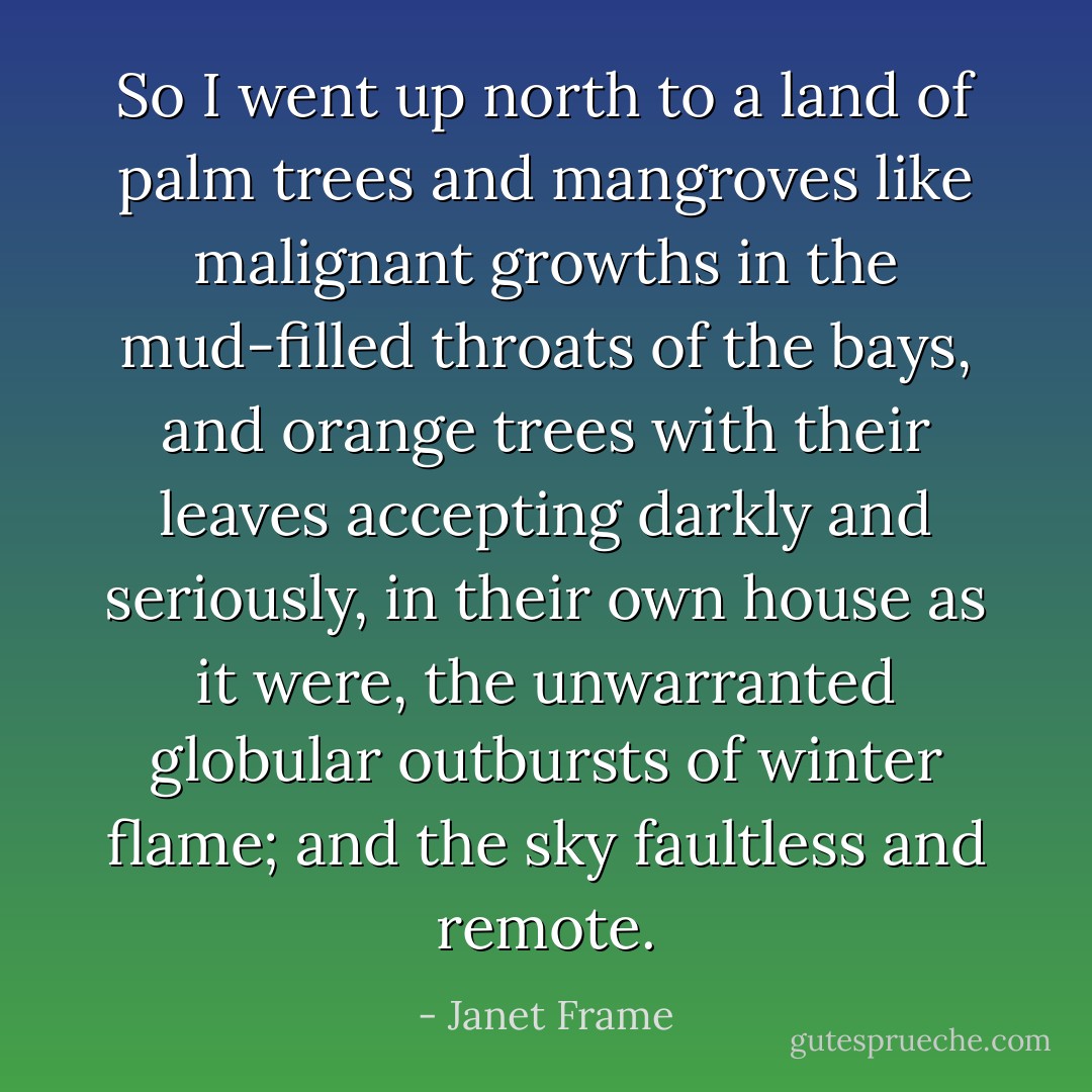 So I went up north to a land of palm trees and mangroves like malignant growths in the mud-filled throats of the bays, and orange trees with their leaves accepting darkly and seriously, in their own house as it were, the unwarranted globular outbursts of winter flame; and the sky faultless and remote. - Janet Frame