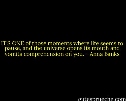 IT’S ONE of those moments where life seems to pause, and the universe opens its mouth and vomits comprehension on you. - Anna Banks
