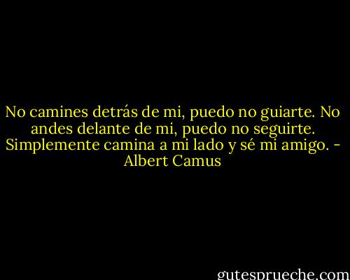 No camines detrás de mi, puedo no guiarte. No andes delante de mi, puedo no seguirte. Simplemente camina a mi lado y sé mi amigo. - Albert Camus