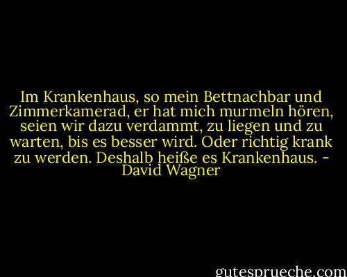 Im Krankenhaus, so mein Bettnachbar und Zimmerkamerad, er hat mich murmeln hören, seien wir dazu verdammt, zu liegen und zu warten, bis es besser wird. Oder richtig krank zu werden. Deshalb heiße es Krankenhaus. - David Wagner