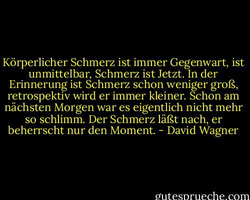 Körperlicher Schmerz ist immer Gegenwart, ist unmittelbar, Schmerz ist Jetzt. In der Erinnerung ist Schmerz schon weniger groß, retrospektiv wird er immer kleiner. Schon am nächsten Morgen war es eigentlich nicht mehr so schlimm. Der Schmerz läßt nach, er beherrscht nur den Moment. - David Wagner
