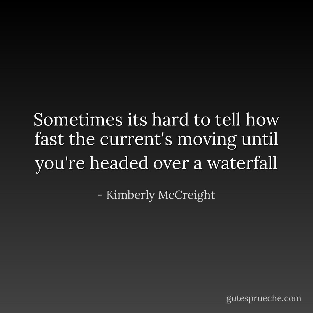 Sometimes its hard to tell how fast the current's moving until you're headed over a waterfall - Kimberly McCreight
