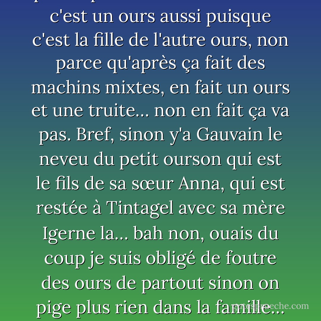 Eh bien, c'est l'histoire d'un petit ourson qui s'appelle… Arthur. Et y'a une fée, un jour, qui vient voir le petit ourson et qui lui dit : Arthur tu vas partir à la recherche du Vase Magique. Et elle lui donne une épée hmm… magique (ouais, parce qu'y a plein de trucs magiques dans l'histoire, bref) alors le petit ourson il se dit : "Heu, chercher le Vase Magique ça doit être drôlement difficile, alors il faut que je parte dans la forêt pour trouver des amis pour m'aider." Alors il va voir son ami Lancelot… le cerf (parce que le cerf c'est majestueux comme ça), heu, Bohort le faisan et puis Léodagan… heu… l'ours, ouais c'est un ours aussi, c'est pas tout à fait le même ours mais bon. Donc Léodagan qui est le père de la femme du petit ourson, qui s'appelle Guenièvre la truite… non, non, parce que c'est la fille de… non c'est un ours aussi puisque c'est la fille de l'autre ours, non parce qu'après ça fait des machins mixtes, en fait un ours et une truite… non en fait ça va pas. Bref, sinon y'a Gauvain le neveu du petit ourson qui est le fils de sa sœur Anna, qui est restée à Tintagel avec sa mère Igerne la… bah non, ouais du coup je suis obligé de foutre des ours de partout sinon on pige plus rien dans la famille… Donc c'est des ours, en gros, enfin bref… Ils sont tous là et donc Petit Ourson il part avec sa troupe à la recherche du Vase Magique. Mais il le trouve pas, il le trouve pas parce qu'en fait pour la plupart d'entre eux c'est… c'est des nazes : ils sont hyper mous, ils sont bêtes, en plus y'en a qu'ont la trouille. Donc il décide de les faire bruler dans une grange pour s'en débarrasser… Donc la fée revient pour lui dire : "Attention petit ourson, il faut être gentil avec ses amis de la forêt" quand même c'est vrai, et du coup Petit Ourson il lui met un taquet dans la tête à la fée, comme ça : "BAH !". Alors la fée elle est comme ça et elle s'en va… et voilà et en fait il trouve pas le vase. En fait il est… il trouve pas… et Petit Ourson il fait de la dépression et tous les jours il se demande s'il va se tuer ou… pas… - Alexandre Astier