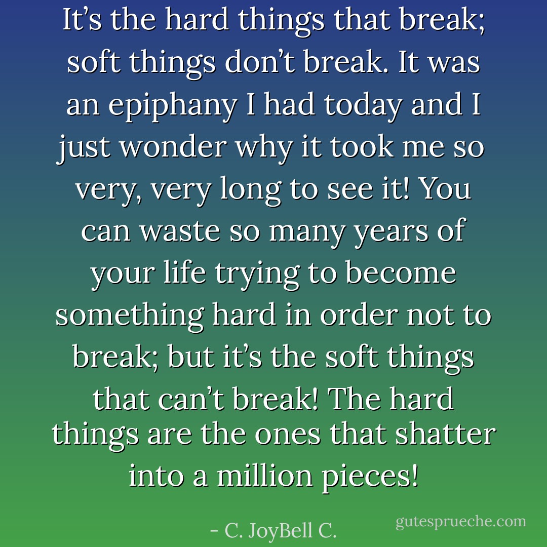 It’s the hard things that break; soft things don’t break. It was an epiphany I had today and I just wonder why it took me so very, very long to see it! You can waste so many years of your life trying to become something hard in order not to break; but it’s the soft things that can’t break! The hard things are the ones that shatter into a million pieces! - C. JoyBell C.