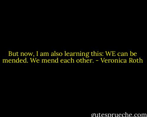 But now, I am also learning this: WE can be mended. We mend each other. - Veronica Roth