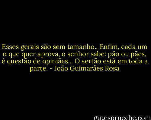 Esses gerais são sem tamanho., Enfim, cada um o que quer aprova, o senhor sabe: pão ou pães, é questão de opiniães... O sertão está em toda a parte. - João Guimarães Rosa