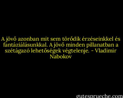A jövő azonban mit sem törődik érzéseinkkel és fantáziálásunkkal. A jövő minden pillanatban a szétágazó lehetőségek végtelenje. - Vladimir Nabokov