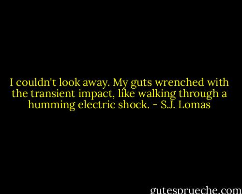 I couldn't look away. My guts wrenched with the transient impact, like walking through a humming electric shock. - S.J. Lomas