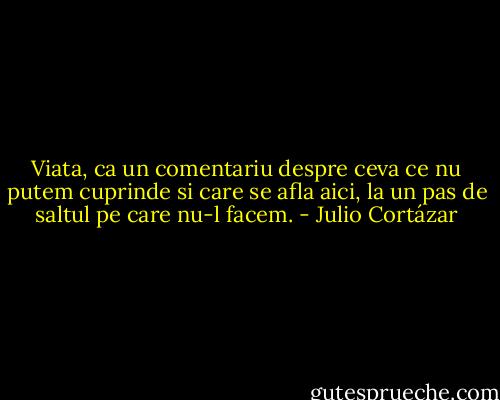 Viata, ca un comentariu despre ceva ce nu putem cuprinde si care se afla aici, la un pas de saltul pe care nu-l facem. - Julio Cortázar